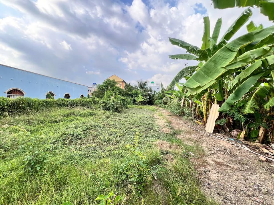 Bán cặp nền đất mặt tiền đường Trần Thị Thơm, phường Mỹ Phong, 201m² - Pháp lý rõ ràng, giá tốt!