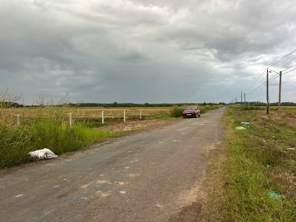 Đất mặt tiền đường nhựa ấp Tân Lợi, xã Tân Phú, Tây Ninh 250m² giá 370 triệu - Cơ hội đầu tư lớn!