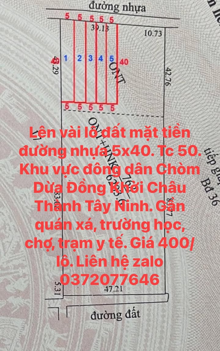 Đất mặt tiền đường nhựa 200m² giá 400 triệu - Khu dân cư sầm uất Chòm Dừa