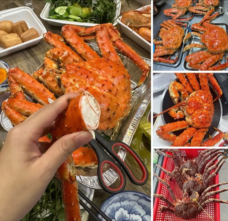 Đất nền 7 công 6 tại Thanh Điền, Châu Thành, Tây Ninh - Giá 1.2 tỷ, Đường ô tô vào tận nơi!