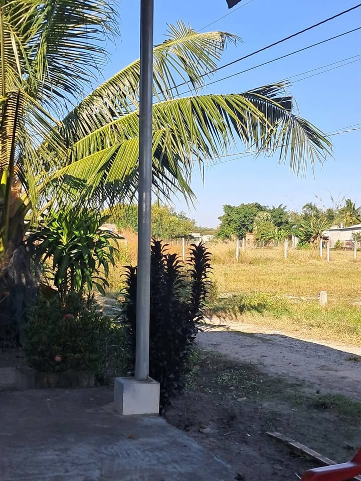 Đất nền ấp Gò Cát, xã Tân Phong, 275m² giá 250 triệu - Đầu tư sinh lời ngay!