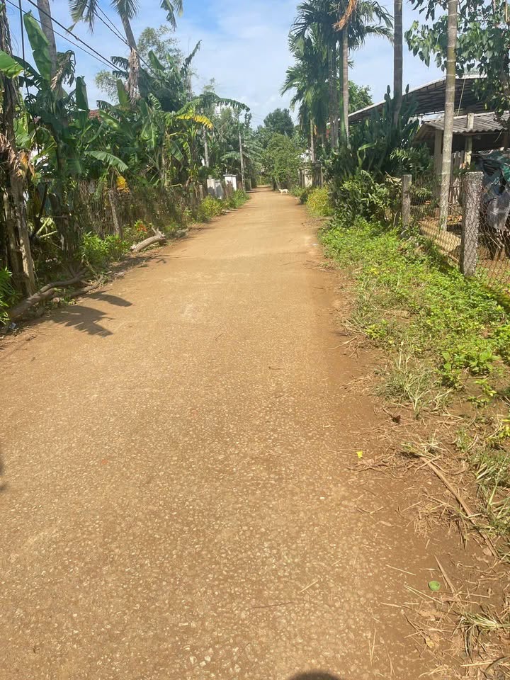 Đất nền Vườn Vạn Tường, Bình Hải 576m² giá thỏa thuận - Cơ hội đầu tư tuyệt vời!