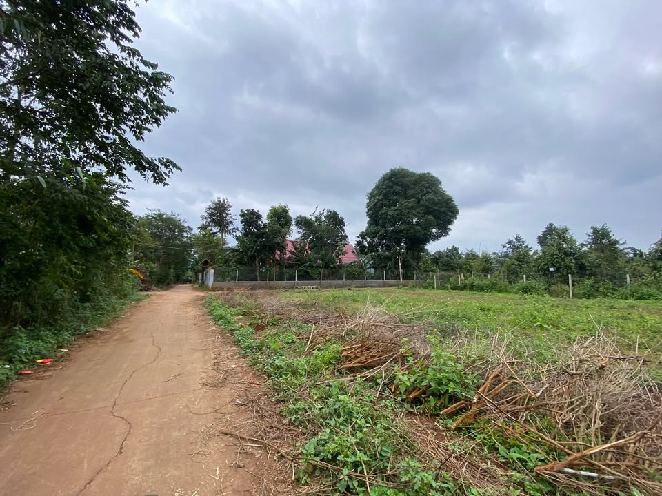 Đất thổ cư 100m² Nguyễn Xuân Nguyên, Tân An giá 1.6 tỷ - Đường bê tông rộng rãi!