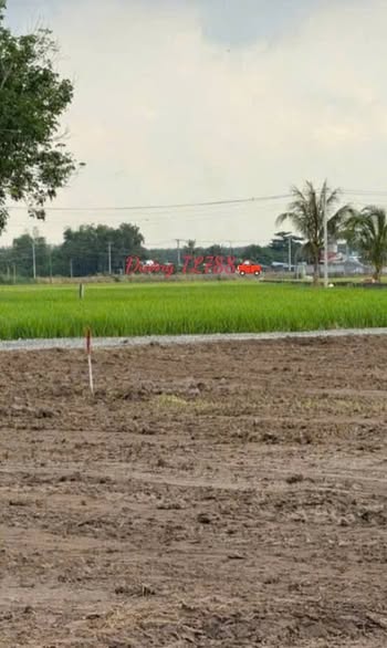 Đất thổ cư 165m² tại Phước Vinh, Châu Thành - Cách đường TL788 chỉ 300m!