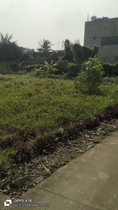 Đất mặt tiền Xuân Phú Hậu Lộc 138m² giá 700 triệu - Cơ hội đầu tư sinh lời!