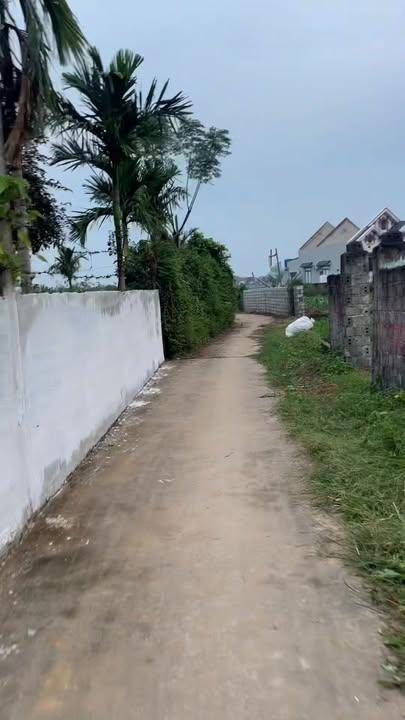 Đất thổ cư Đa Lộc - Hậu Lộc 100m² giá thỏa thuận - Khu dân cư sầm uất!