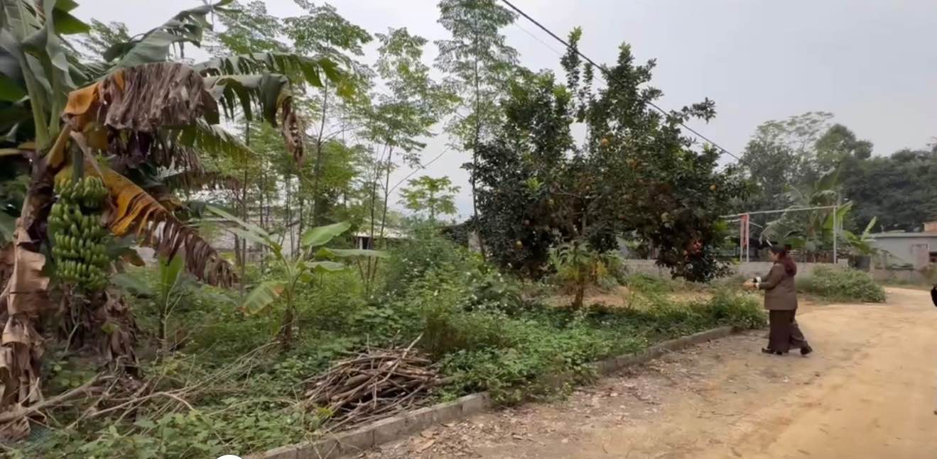 Đất nền Cư Yên, Lương Sơn 210m² chỉ 2 tỷ - Đầu tư sinh lời ngay!