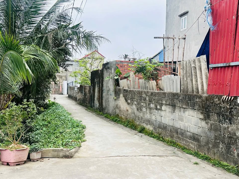 Đất nền tại Kiến Thụy Hải Phòng 140m² giá chỉ 5 triệu/m² - Sổ đỏ chính chủ!