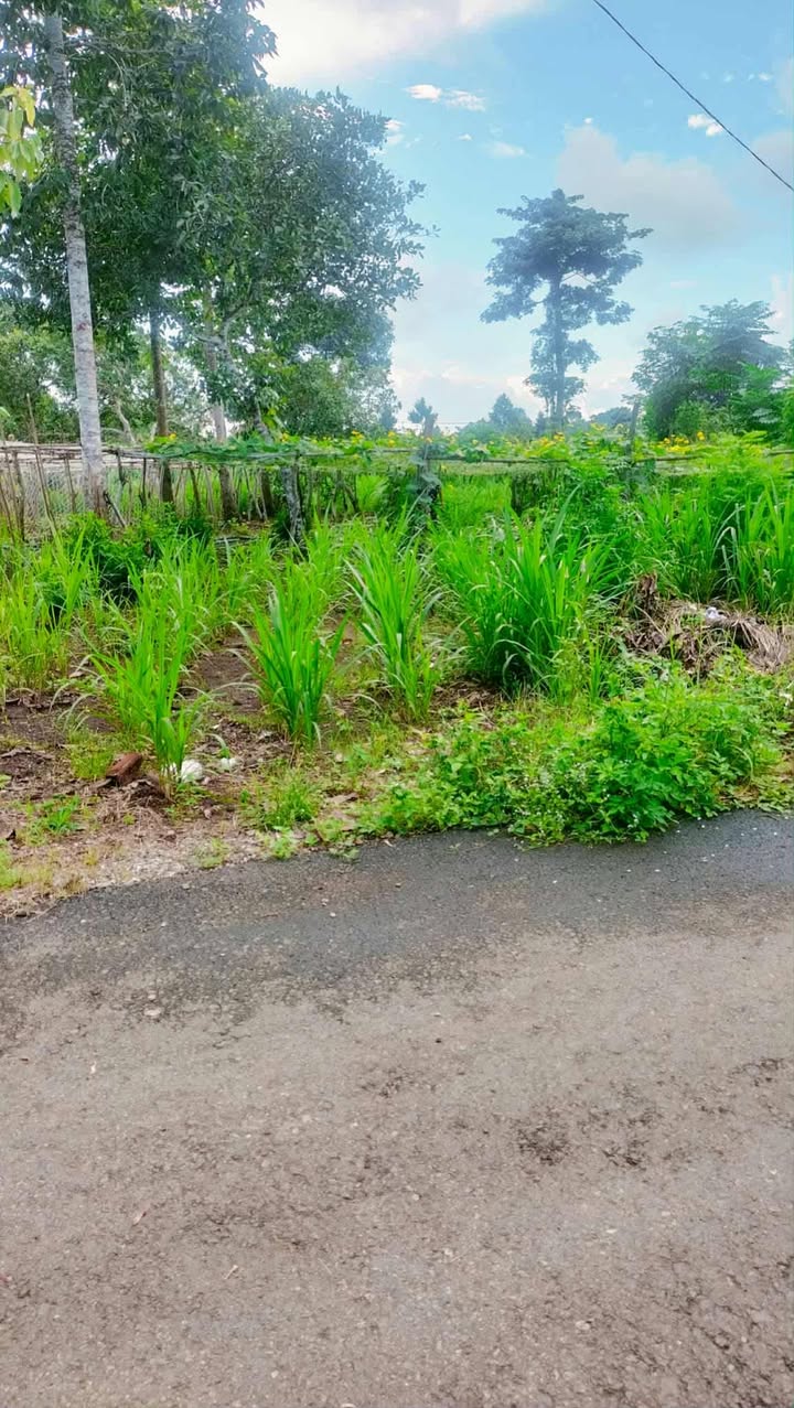 Đất nền Châu Đức 162m² giá 800 triệu - Cơ hội đầu tư không thể bỏ lỡ!