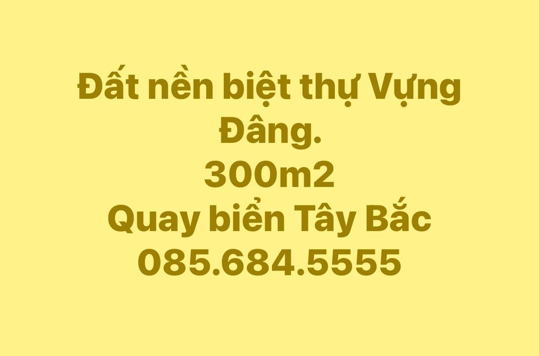 Đất nền biệt thự Vựng Đâng Hạ Long 300m² - Vị trí đắc địa gần biển