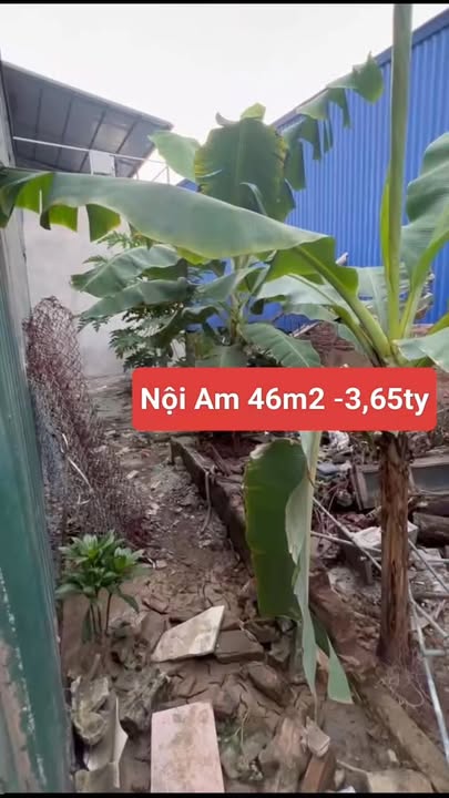 Đất nền 46m² Ngõ 8 Nội Am, Thanh Trì chỉ 3.65 tỷ - Sổ đỏ chính chủ!