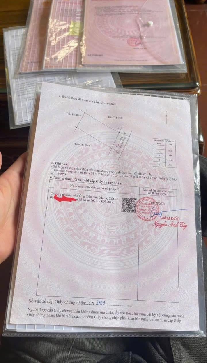 Đất nền Quốc Tuấn, An Dương 54.5m² giá chỉ 800 triệu - Cơ hội đầu tư tuyệt vời!