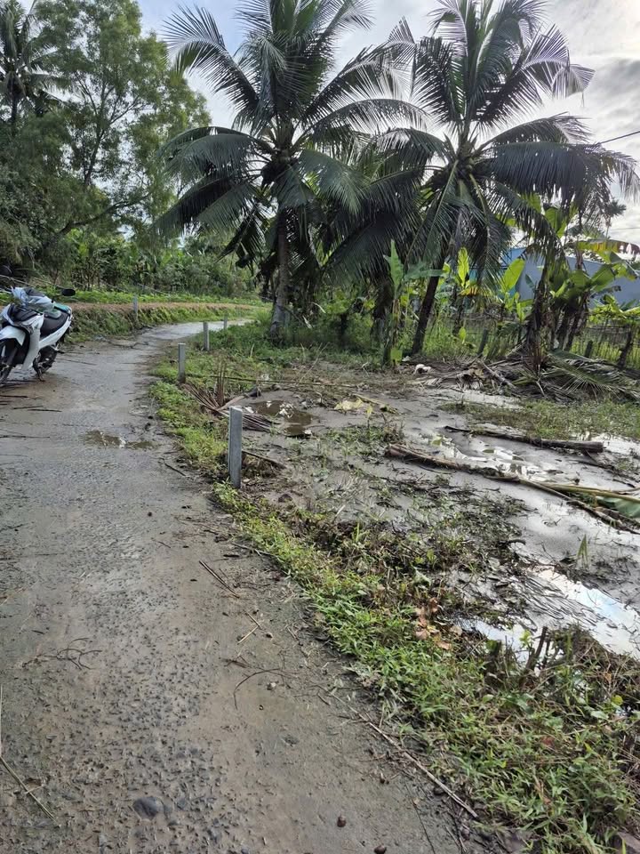 Đất nền thổ cư 120m² tại Giai Xuân, Phong Điền - Giá chỉ 400 triệu VND!