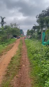 Đất nền Phú Xuân, Krông Năng 987m² giá 945 triệu - Đầu tư sinh lời ngay!