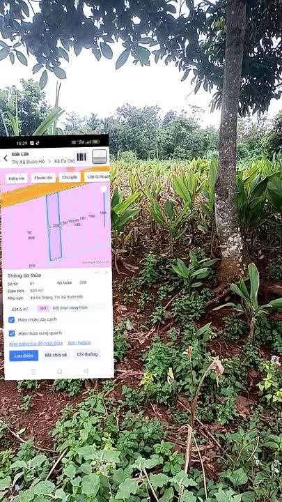 Đất nền thổ cư Thôn 4, phường Ea Drông 60m² giá 530 triệu - Vị trí gần trường học!