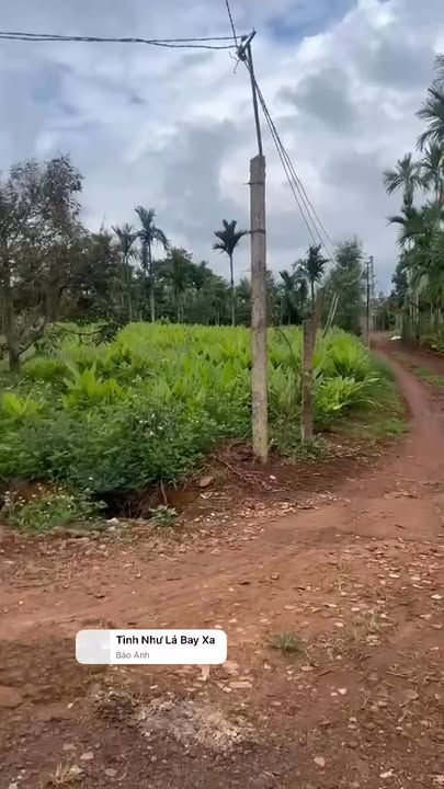 Đất nền Phú Xuân Krông Năng 924m² giá 9x triệu - Mặt tiền đường nhựa, đối diện chợ!