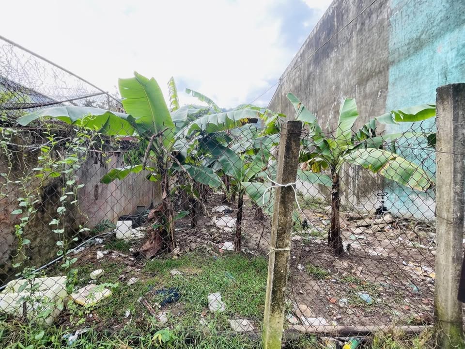 Lô đất mặt tiền Thanh Vinh 16, Liên Chiểu 198m² giá 3.6 tỷ - Cơ hội đầu tư tuyệt vời!