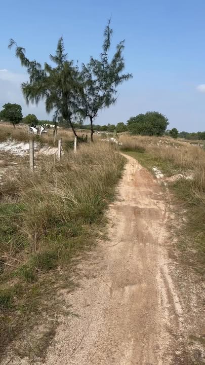 Đất nền Hương An 2074m² giá 7.467 tỷ - Vị trí đắc địa gần KCN