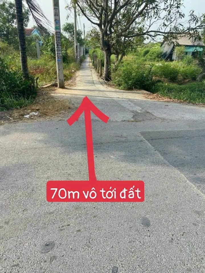 Đất vườn Tân Quý Tây, Bình Chánh 100m² giá 800 triệu - Cơ hội đầu tư hiếm có!