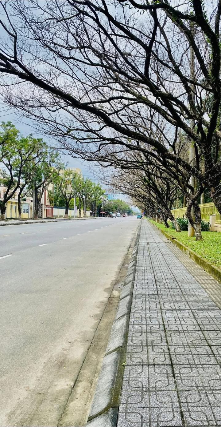 Nhà cấp 4 đường Trần Trung Tri, Tam Kỳ 90m² giá 1.65 tỷ - Vị trí thuận lợi gần trường học!