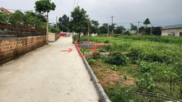 Đất nền Cẩm Lĩnh Ba Vì 119m² giá 1 tỷ - Gần các tiện ích đầy đủ!