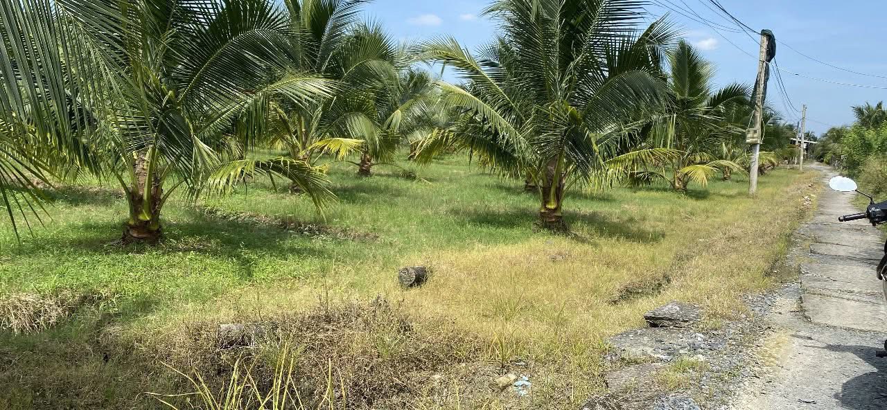 Đất vườn Lương Hòa Lạc, Chợ Gạo 2500m² giá 1.35 tỷ - Cơ hội đầu tư tuyệt vời!