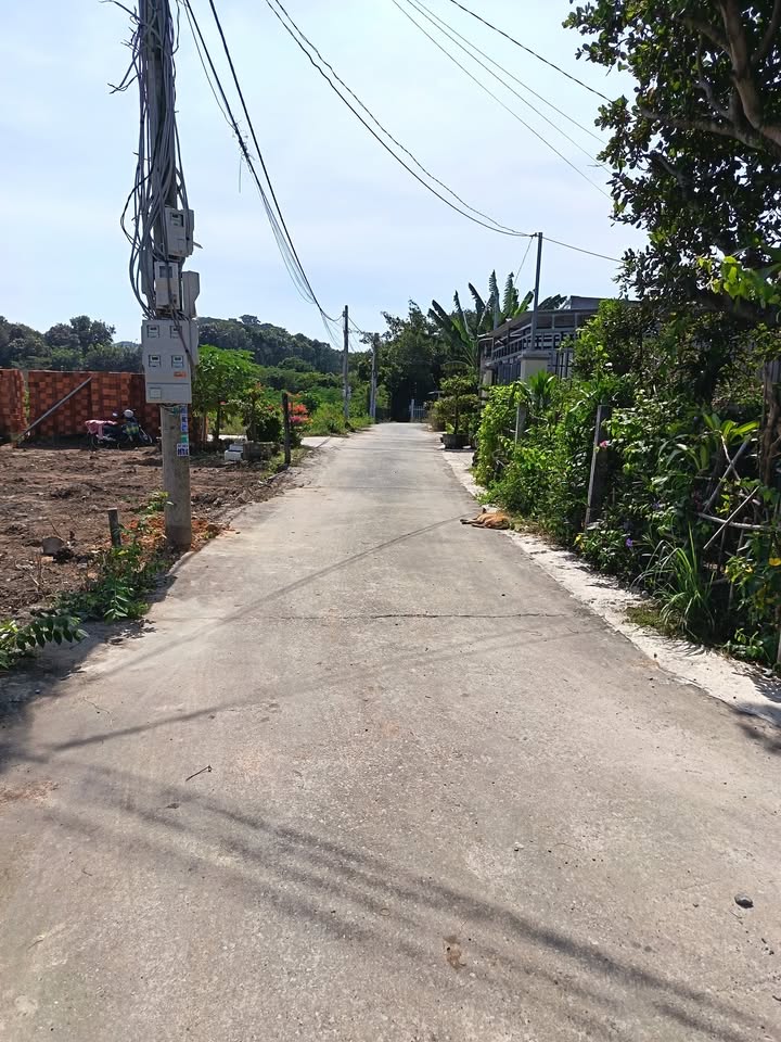 Đất thổ cư An Ngãi, Long Điền 100m² giá 1.25 tỷ - Sổ hồng chính chủ!