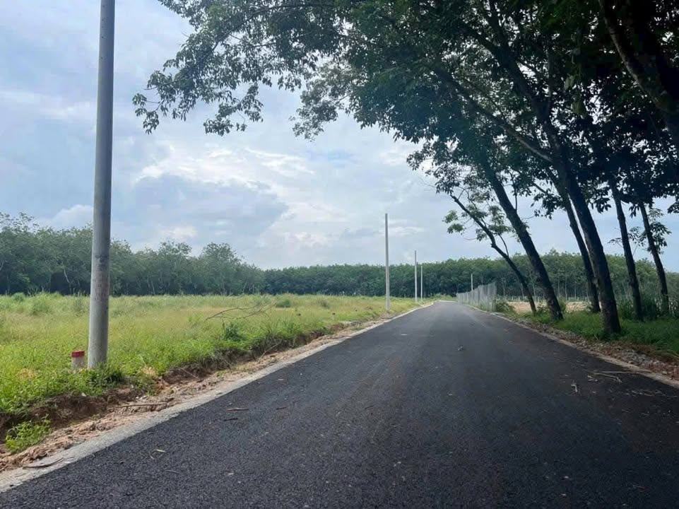 Đất nền Định An Dầu Tiếng 200m² giá chỉ 3xx triệu - Cơ hội đầu tư hấp dẫn!