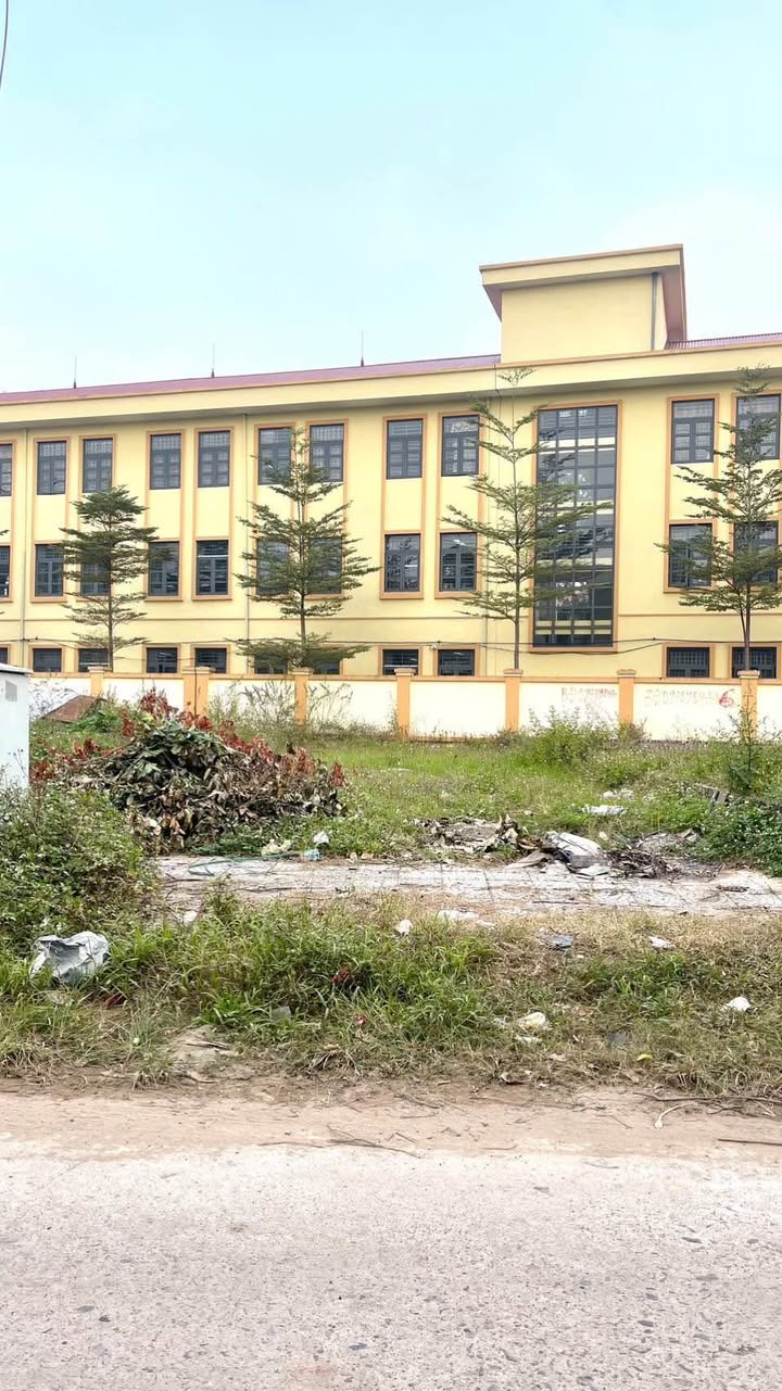 Đất đấu giá Thanh Lâm Mê Linh 115m² giá 5x triệu - Đầu tư sinh lời ngay!