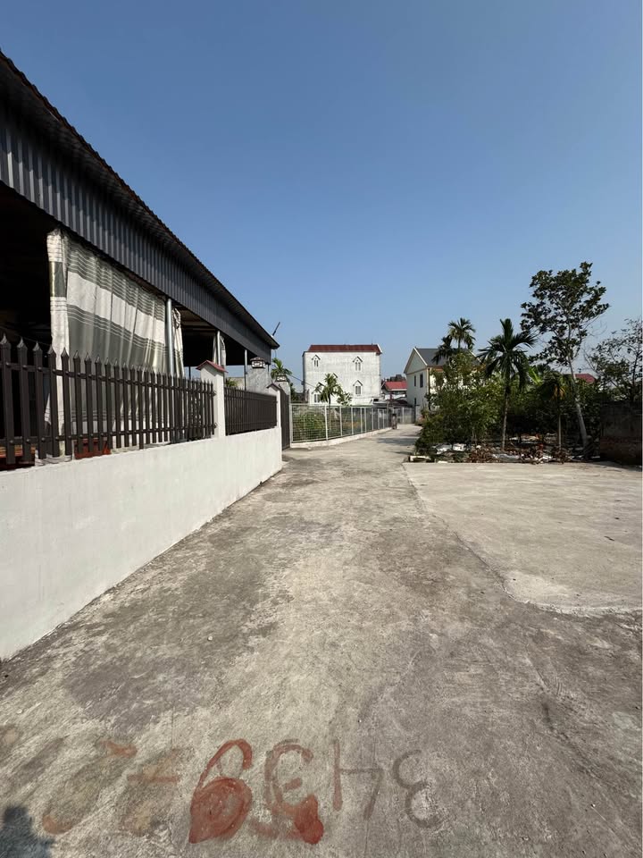 Đất nền khu phố Đông Lương Quy, An Dương 51m² chỉ 900 triệu - Đầu tư sinh lời hấp dẫn!