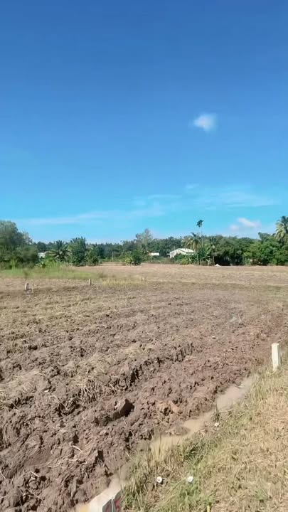 Đất thổ cư Hảo Đước, Châu Thành, Tây Ninh 100m² giá 179 triệu - Cơ hội đầu tư tuyệt vời!