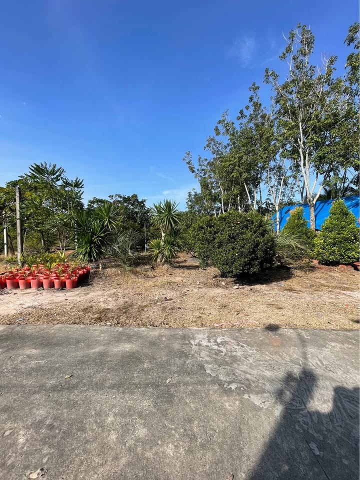 Đất nền chính chủ Hẻm 29 Điện Biên Phủ, Tây Ninh 495m² - Giá tốt đầu tư!