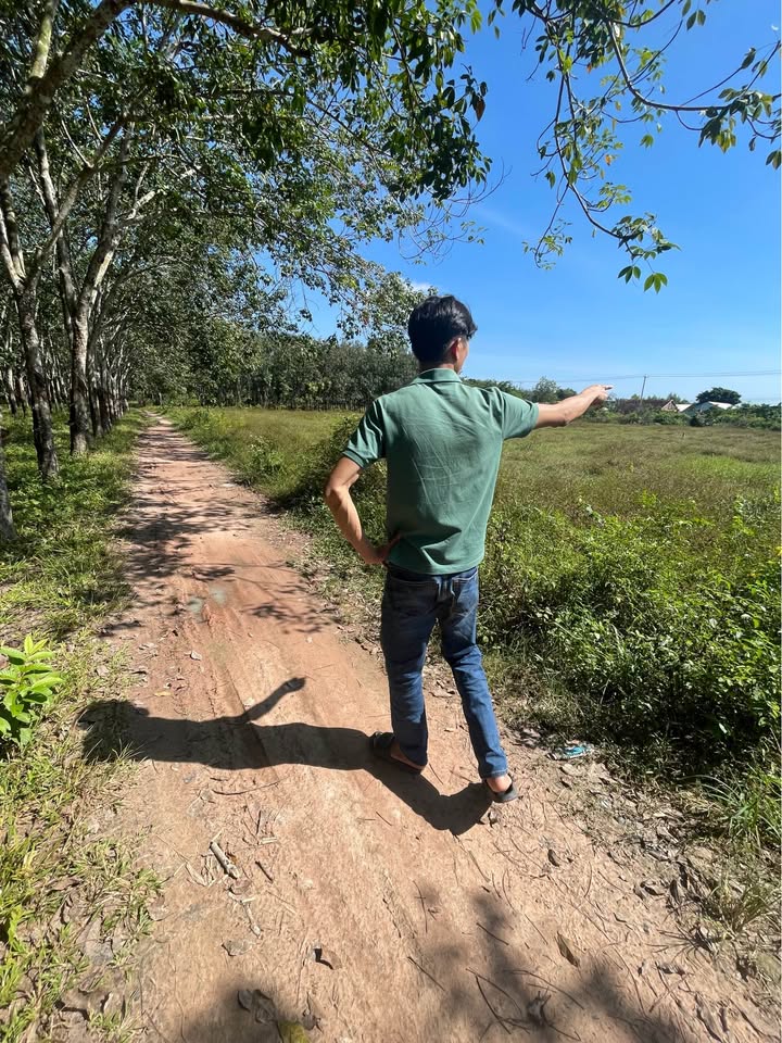 Đất thổ cư 5x31m ấp Rộc A, Thạnh Đức - Giá 350 triệu, đầu tư sinh lời!