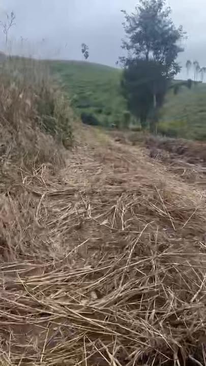 Đất nông nghiệp xã Hà Tây, Chư Păh 17.000m² - Giá chỉ 590 triệu, cơ hội đầu tư tuyệt vời!