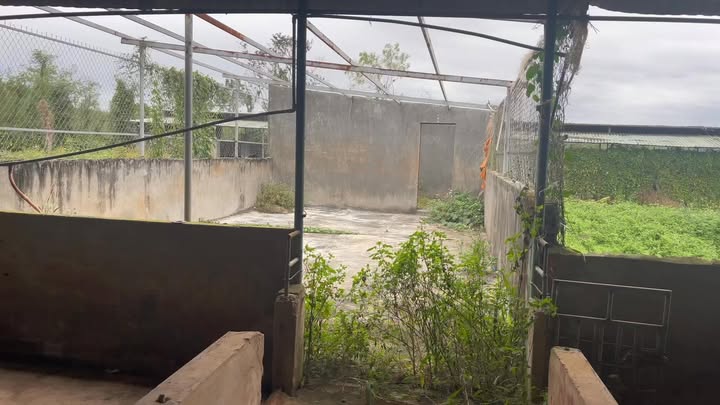 Đất nền Ia Hrú, Chư Pưh, Gia Lai 1080m² - Giá chỉ 739 triệu, cơ hội đầu tư tuyệt vời!