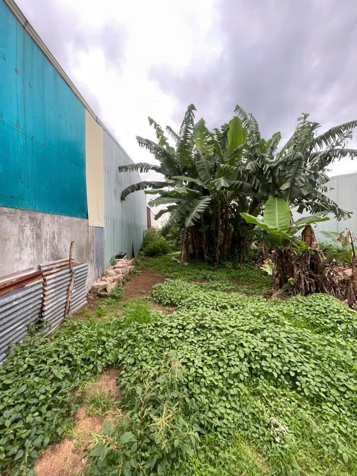 Đất nền Hẻm 273 Lê Đại Hành, Pleiku 100m² giá 820 triệu - Đầu tư sinh lời ngay!