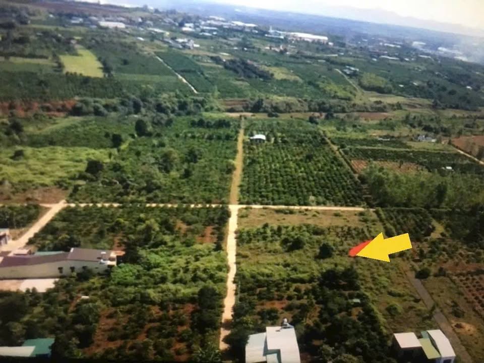 Đất thổ cư xã Biển Hồ, Pleiku 150m² - Giá chỉ 300 triệu!