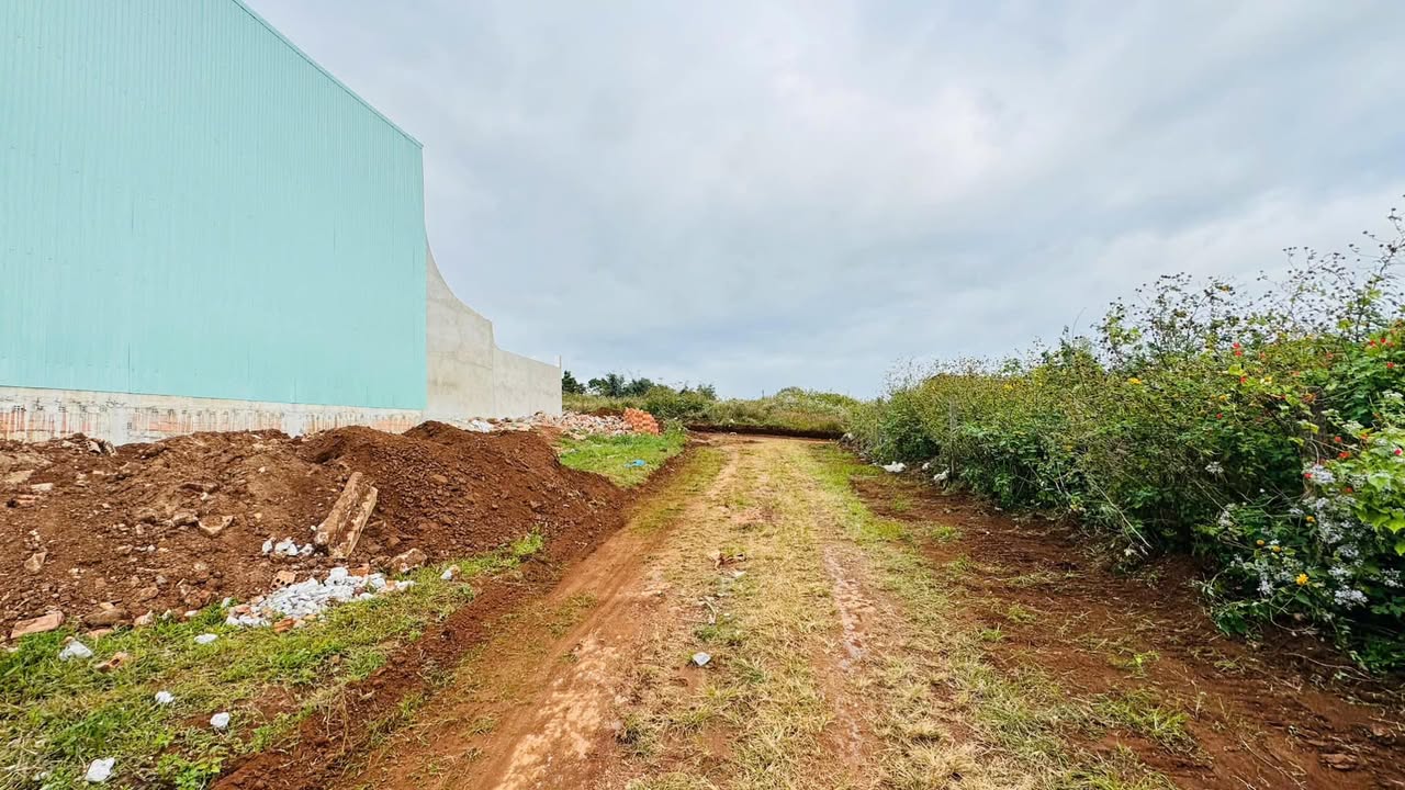 Đất nền Hẻm 125 Hoàng Sa, P.Diên Hồng 85.5m² giá 800 triệu - Sổ đỏ chính chủ!