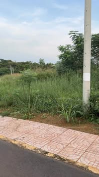 Đất nền 500m² tại ấp Hòa Bình, xã Hưng Thịnh - Chỉ 990 triệu, đầu tư sinh lời!