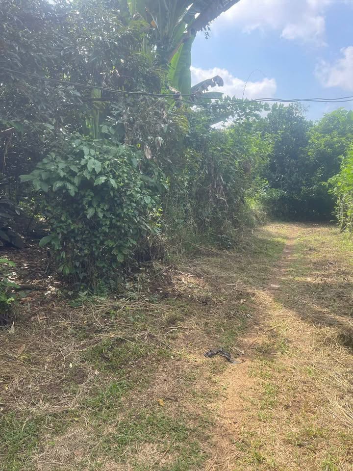 Đất nền đẹp 508m² tại phường Hàng Gòn, Long Khánh - Giá 1.1 tỷ, sổ đỏ chính chủ!