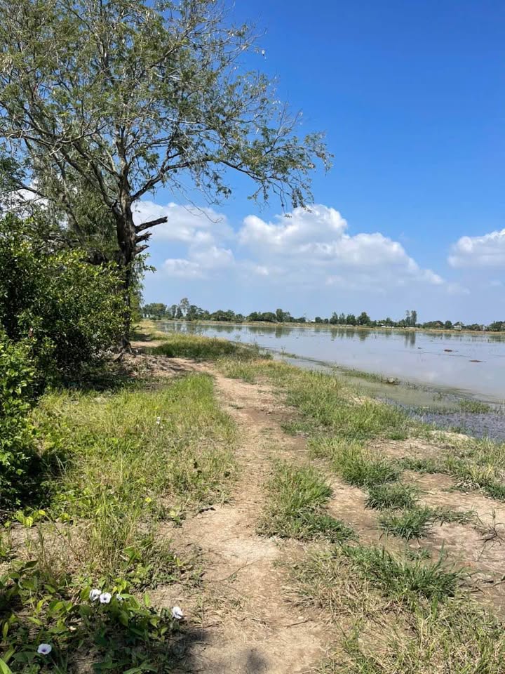 Đất lúa 45 công tại Vọng Đông, Thoại Sơn - Giá chỉ 5.85 tỷ, sổ đỏ chính chủ!