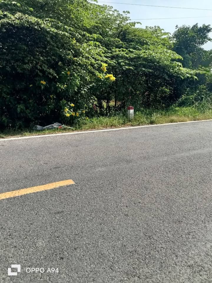 Đất nền xã Mỹ Quí, Tháp Mười 975m² giá 1.55 tỷ - Tiềm năng kinh doanh lớn!