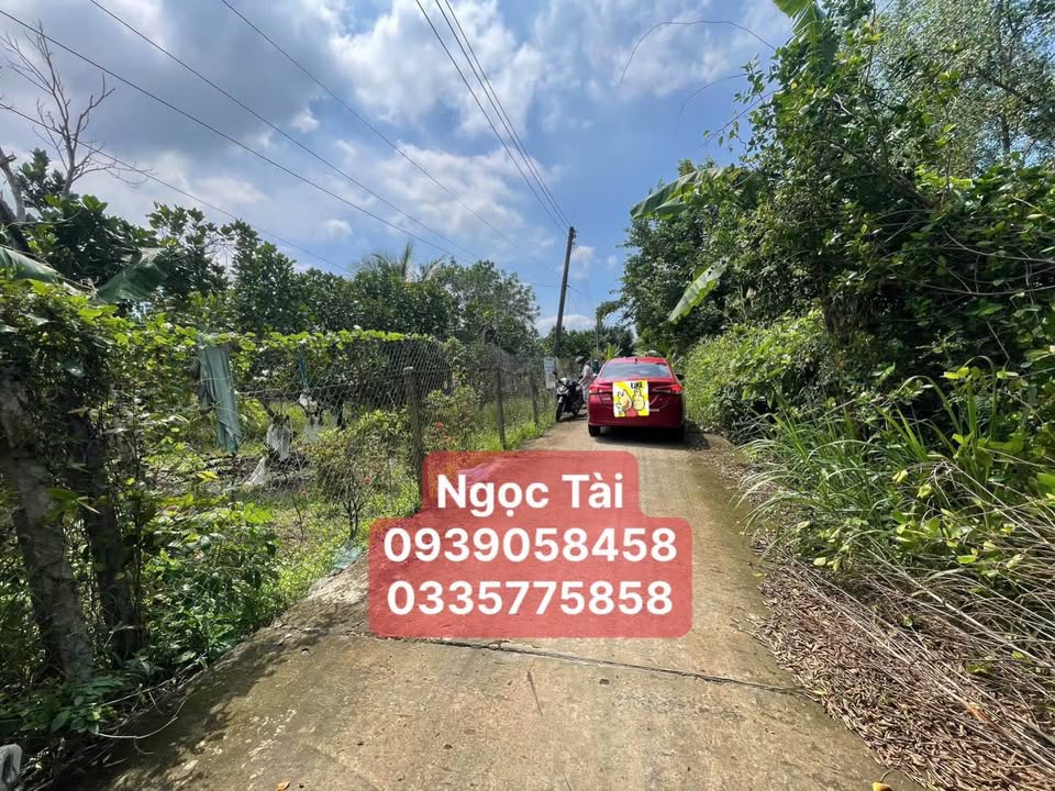 Đất nền 1000m² xã Tân Dương - Giá tốt, vị trí lý tưởng để ở và nghỉ dưỡng!