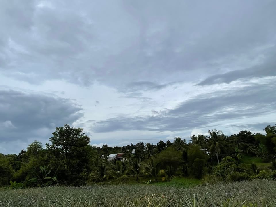 Đất đẹp tại xã Ea Knốp 1,2Ha giá tốt - Chính chủ bán gấp!