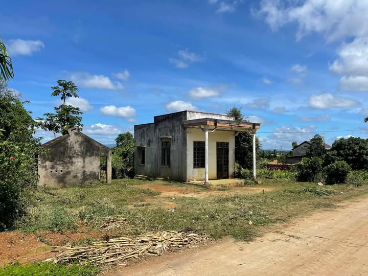 Đất nền xã Xuân Phú, Ea Kar 1400m² giá chỉ 5 triệu/m² - Tiềm năng đầu tư lớn!