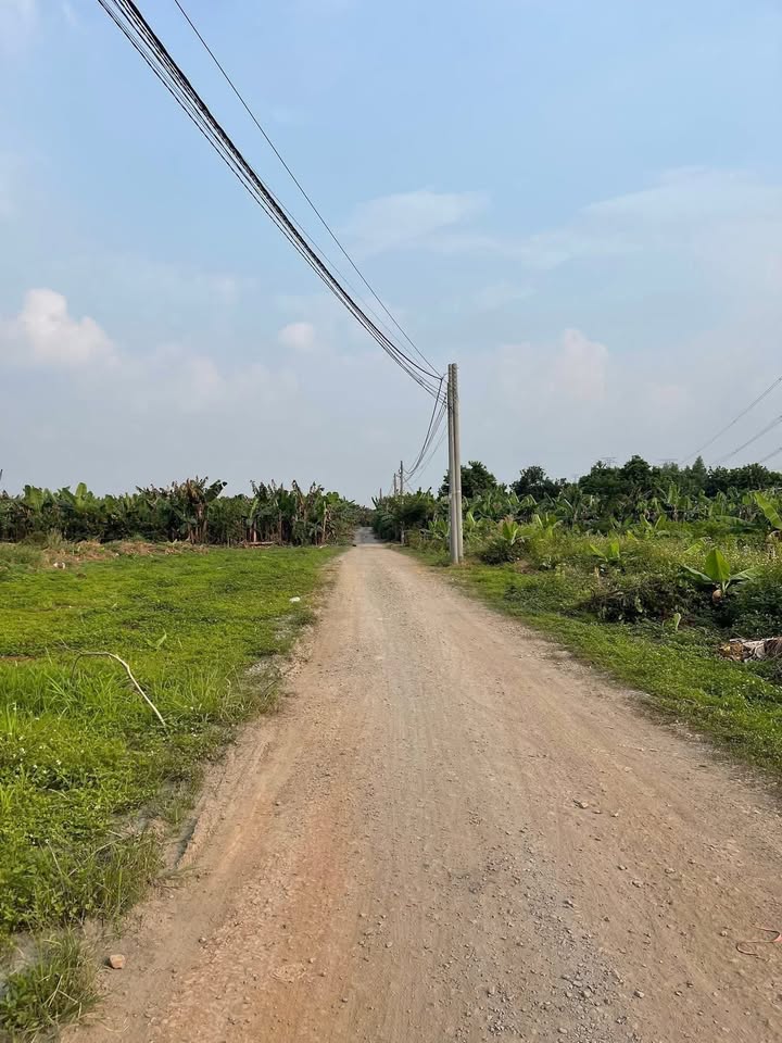 Đất nền Tân An Vĩnh Cửu 1000m² giá chỉ 1.45 tỷ - Cơ hội đầu tư hấp dẫn!