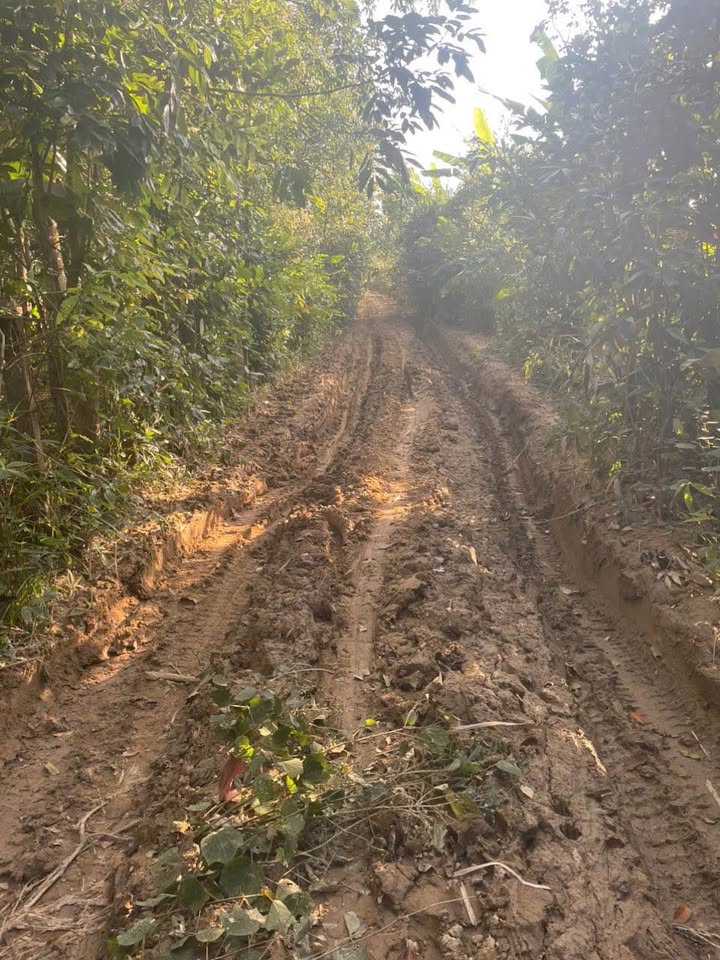 Đất nền Đăk Rơ Wa 1078m² giá chỉ 1xx triệu - Pháp lý rõ ràng, tiện ích đầy đủ!