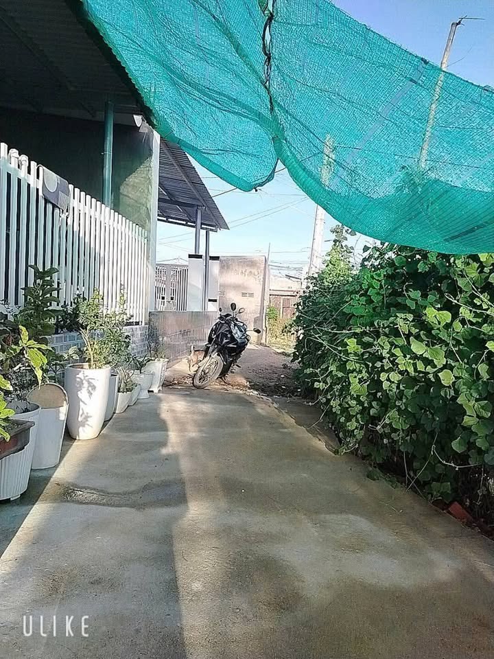 Nhà cấp 4 An Hải Ninh Phước 108m² giá 750 triệu - Nhà mới xây chính chủ!