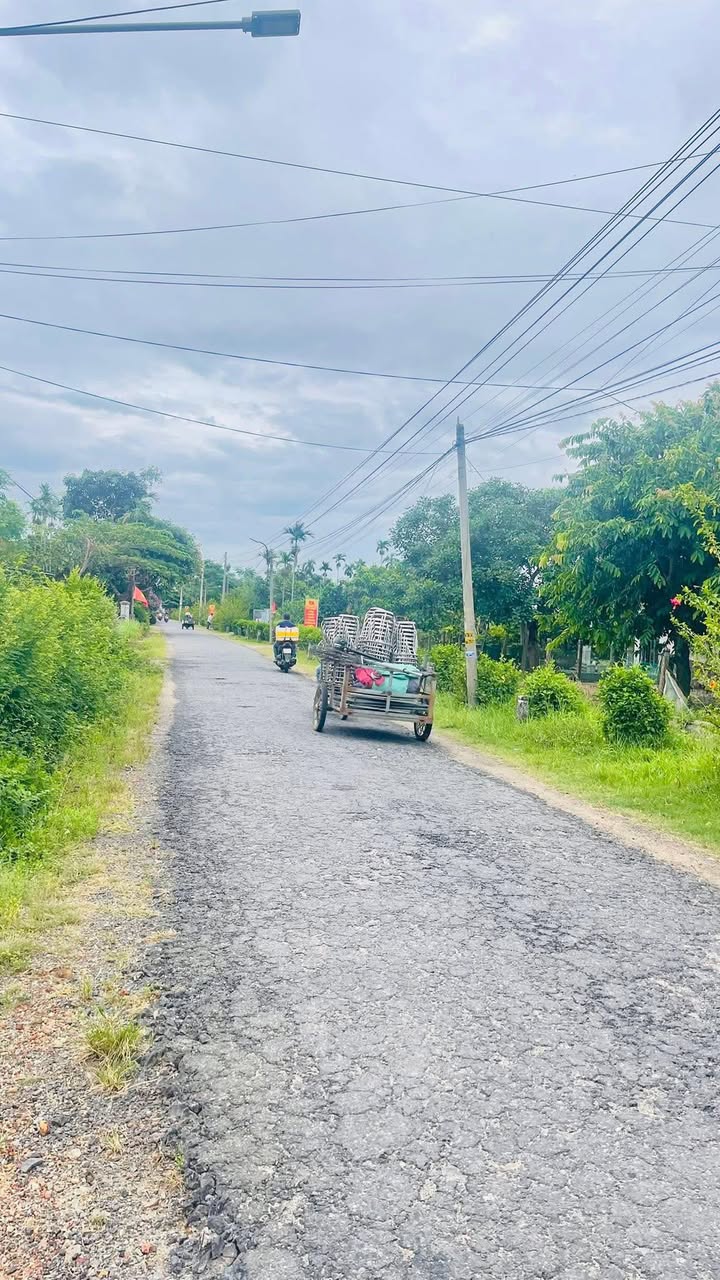 Đất mặt tiền đường DH12 Hòa Vang 141m² giá 1.3 tỷ - Đầu tư sinh lời ngay!