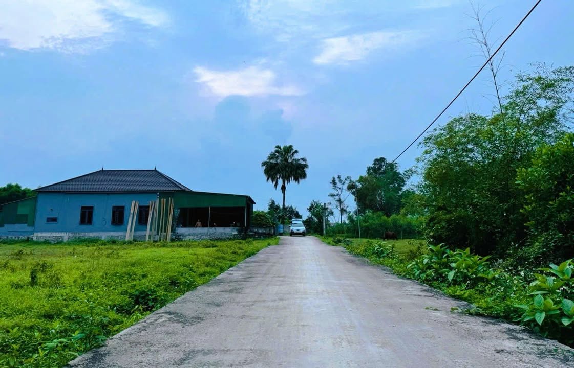 Đất thổ cư Thạch Xuân 195m² giá 800 triệu - Cần bán gấp